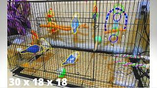 How to Set up a Lovebird Flight Cage | Perfect Cage Size for Lovebirds / Small Birds