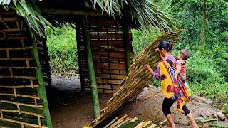 Single mother, Building a shelter - Completing a bamboo house | Bàn Thị Ta