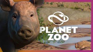 Tamworth Pigs Habitat | Planet Zoo Barnyard Pack