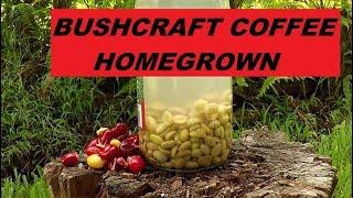BUSHCRAFT Coffee || Tree to Cup Camp Fire Coffee