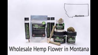 Wholesale Hemp Flower Montana - Buy Bulk Hemp Here