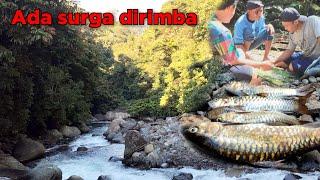 Fishingcamp Hutan Rimba Keindahan Alam Memukau Mata Menyelam Malam Menembak Ikan