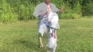 Shitoryu Karate "Shinsei" Kata performing by Master Tanzadeh, 8th Dan, Kyoshi