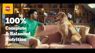 100% Complete and Balanced Nutrition | With Varun Dhawan | Pedigree India