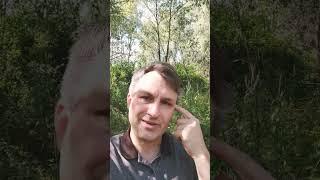 Если ваш интернет магазин не приносит заказы, скажите ЭТО своему директологу или рекламисту