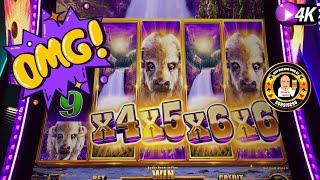 The Buffalo King Gets 2 Insanely Lucky Wins on Buffalo Slot Machines