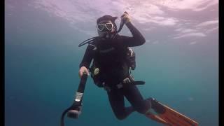 PADI 어드밴스드 오픈워터(PADI ADVANCED OPENWATER)