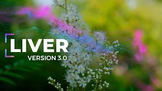 Печень. Версия 3.0 [ NEW ]. Исцеление печени. Скрытые аффирмации. Саблиминал.