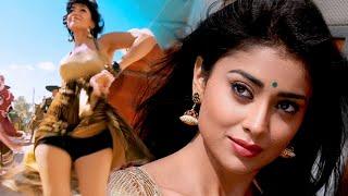 Shreya Saran Hot Songs | Shreya Saran's Milky Legs | Part - 2