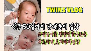 VLOG | 남매둥이 생후 50일까지 | 먹놀잠 쌍둥이신생아 일상 | BCG접종 | 셀프수유쿠션 |첫 외래진료