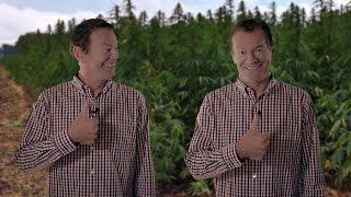 Homegrown: "Tips For Growing Clones"