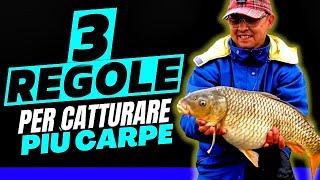 3 REGOLE per catturare più CARPE | CARPFISHING 2023 | CER