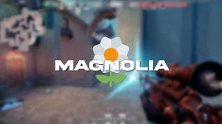 MAGNOLIA 