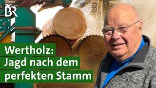 Versteigerung im Wald: Sägewerk kauft Stämme für Dielen und Bretter | Unser Land | BR