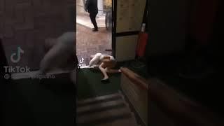 Напилася я пьяна