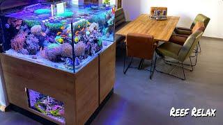 REEF RELAX - "reef tank ambiente" - 850 liter + seahorses