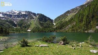 The natural beauty of the Hohe Tauern National Park at Austria - National Geographic Documentary