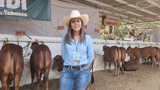 RED SINDHI.. Rancho COCOTEROS.. Tenosique.. Tabasco.. MX...