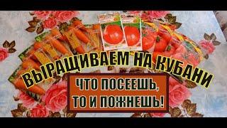 ВЫРАЩИВАЕМ НА КУБАНИ