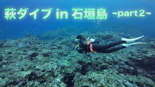 【萩ダイブ】石垣島で魚の群れを沢山撮って来ました