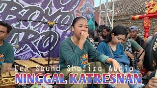 Cek Sound NINGGAL KATRESNAN | ROGO SAMBOYO PUTRO voc Dinda & Gea Ayu