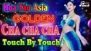 LK Asia Golden Cha Cha Cha Hay Nhất Mọi Thời Đại | Hòa Tấu Cha Cha Cha Touch By Touch Đỉnh Cao