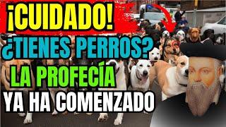 CHOCANTE: Lo Que Nostradamus Predijo Para Quienes Tienen PERRO EN CASA | Profecías Reveladas