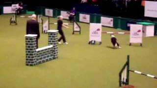 Lucy Osborne England Agility Crufts 2010