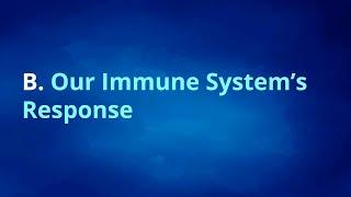 Cancer Immunotherapy DS Challenge - Lecture 1, Part  B - Biology - Our Immune System's Response