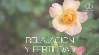 Meditación para la Relajación y la Fertilidad | Splendmedt