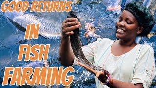 How a young lady is making millions in fishing farming