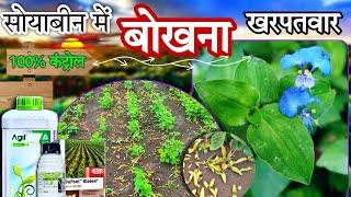 सोयाबीन में बोखना खरपतवार नियंत्रण | Soybean me bokhna kharpatwar control |Soybean kharpatwar nashak