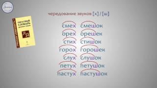 Русский язык 2 класс. Чередование звуков в корнях слов, которое видно на письме
