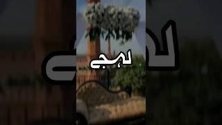 Lehja  #lehja #shortsfeed #ytshorts #100k #ramdan #shorts #tamannavoice #quotes #quotesaboutlife