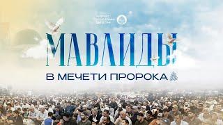 МАВЛИДЫ В МЕЧЕТИ ПРОРОКА ﷺ