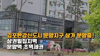 [0034] 경기도 김포한강신도시 상가