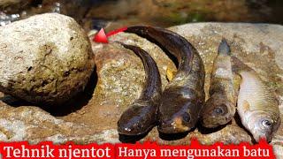 mencari ikan di kali mengunakan tehnik NJENTHOT/LEMPAR BATU