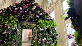 Cheekwood Orchids 2025