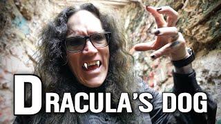 We Found Dracula's Dog in Hollywood - Zoltan The Hound of Dracula Filming Locations   4K