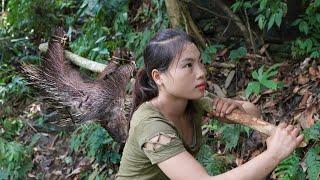 How to make traps to catch porcupines, wild boar traps, wild survival alone