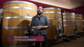 Nicolas Ottin of Ottin Elio talks Valle d'Aosta wine