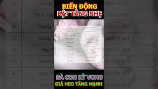 GIÁ HEO BẬT TĂNG #shorts