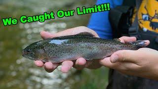 Fishing ULTRA Clear Stream for Trout | Kentucky Trout Stream