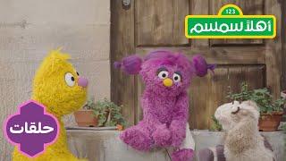 Ahlan Simsim season 2: Basma's Ankle | أهلاً سمسم الموسم الثاني: بسمة وحيدة