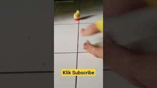 Tek ketek ketek .....