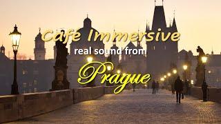 7 hours of Actual Prague Cafe Sound with Cozy Jazz #Cafe #ambiance #playlist #ASMR