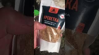 Асмотыр кардинала который подогнал Евгений Соломка