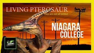 I Saw Five of Them | Niagara College Ropen Encounter, Living Pterosaurs