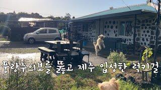 SUB 단순로그280 풍랑 주의보를 뚫고 세 식구 제주 입성한 럭키걸 vlog