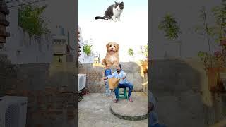 Puppy game funny vfx magic | Kinemaster editing | Ayan mechanic